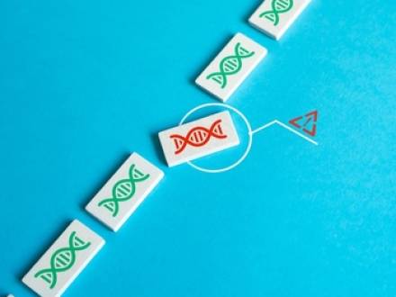 San Antonio, TX family law attorney